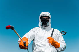 Outdoor Pest Control in Kings Beach, CA